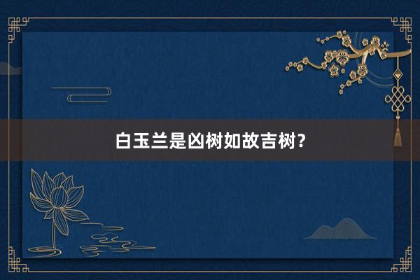 白玉兰是凶树如故吉树？