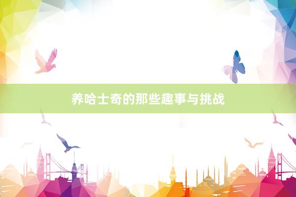 养哈士奇的那些趣事与挑战