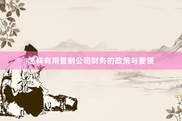 怎样有用管制公司财务的政策与要领